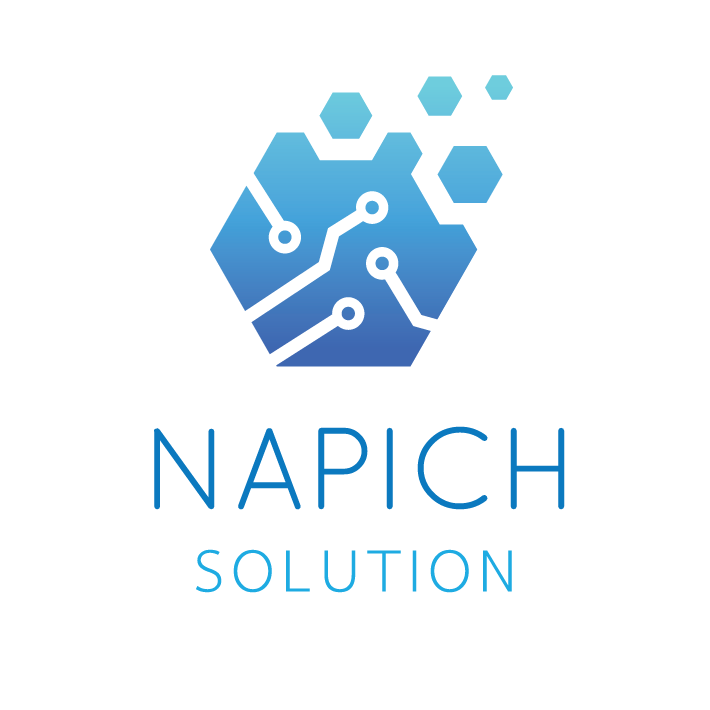 Napich-solution.com